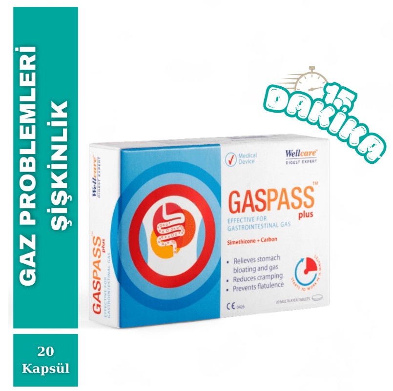 WELLCARE GASPASS PLUS 20 TABLET
